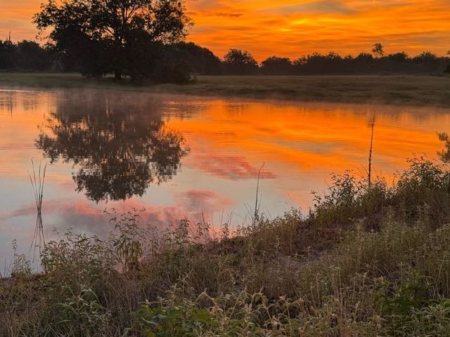 Lot 23 FM 514 Road, Yantis, TX 75497