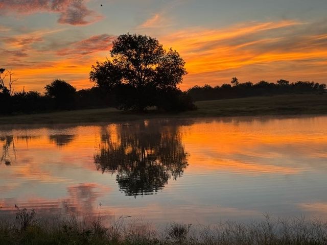 Lot 23 FM 514 Road, Yantis, TX 75497