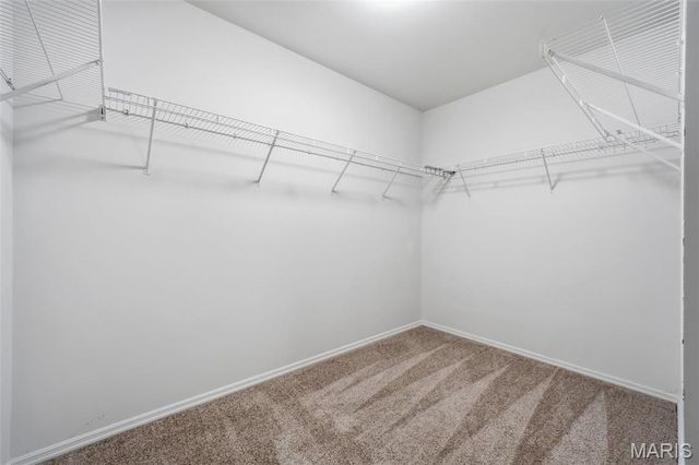 47 Rivermeadows Drive, Florissant, MO 63031