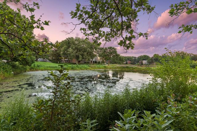 1424 Stonebridge Circle L9, Wheaton, IL 60189