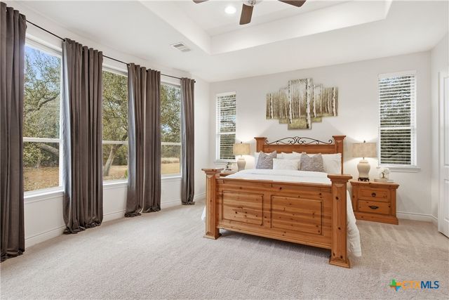 23315 Nameless Road, Leander, TX 78641