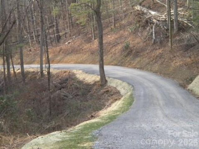 67 Earwood Ridge Road, Fairview, NC 28730