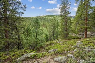 001 Fall River Road, Idaho Springs, CO 80452