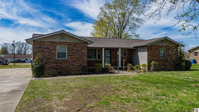 550 Blankenship Rd, Ledbetter, KY 42058