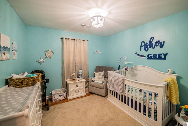 550 Blankenship Rd, Ledbetter, KY 42058