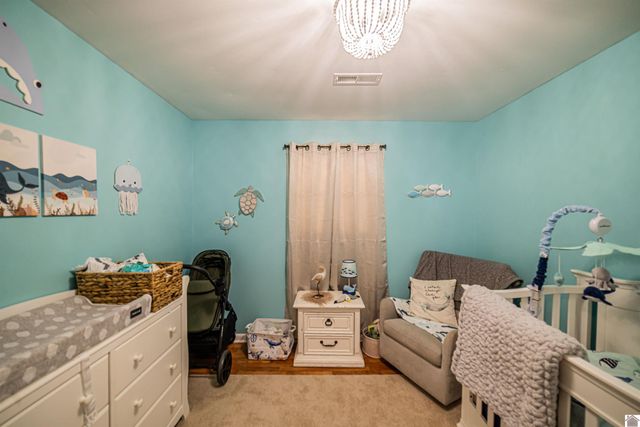 550 Blankenship Rd, Ledbetter, KY 42058