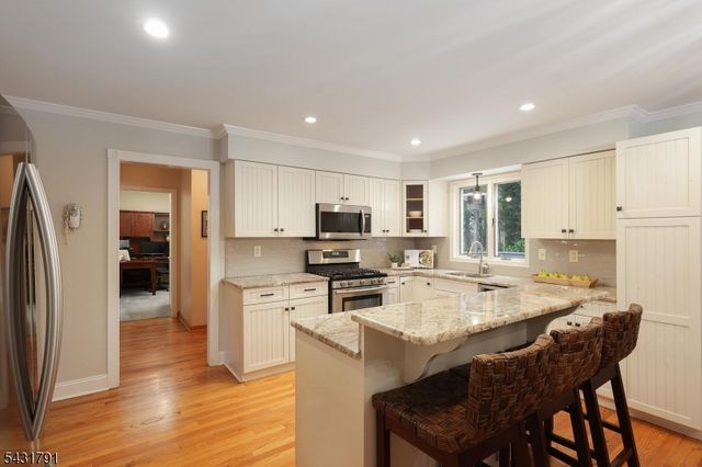13 Daniel Dr, Hillsborough Twp., NJ 08844