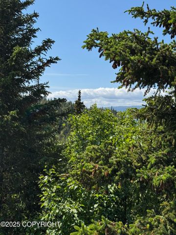 L20 Pomeroy Road, Homer, AK 99603
