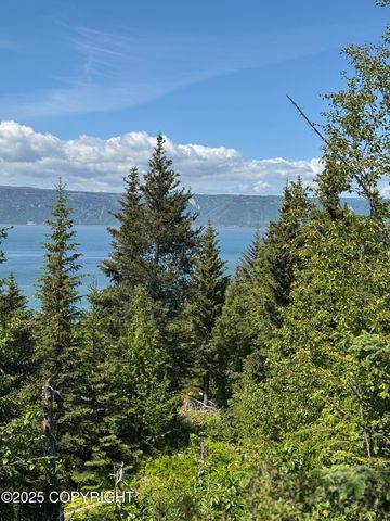 L20 Pomeroy Road, Homer, AK 99603