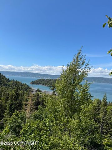 L20 Pomeroy Road, Homer, AK 99603