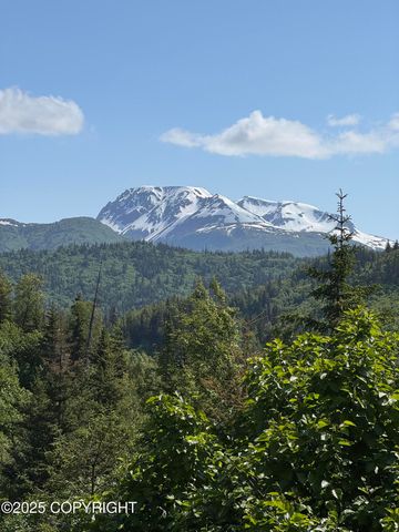 L20 Pomeroy Road, Homer, AK 99603