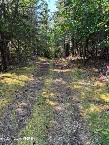L20 Pomeroy Road, Homer, AK 99603