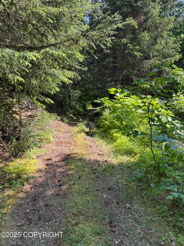 L20 Pomeroy Road, Homer, AK 99603