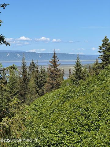 L20 Pomeroy Road, Homer, AK 99603