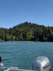L20 Pomeroy Road, Homer, AK 99603