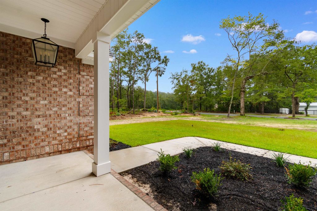TBD Dog Bluff Rd., Galivants Ferry, SC 29544 — photo 4