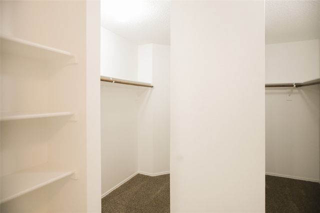 730 Bethany Lake Boulevard, Allen, TX 75002