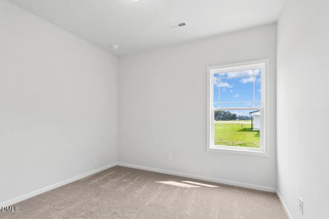 93 Huckleberry Bush Lane, Princeton, NC 27569