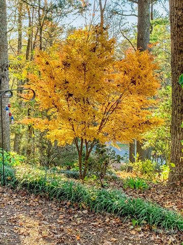 184 Pisgah Shadows Road, Penrose, NC 28766