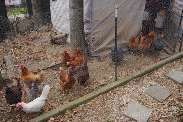 184 Pisgah Shadows Road, Penrose, NC 28766