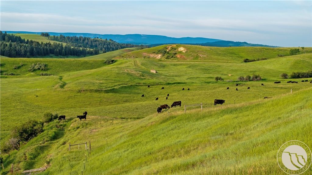 297 Paper Trail, Lewistown, MT 59457 photo 8