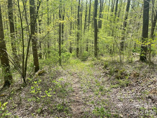 99999 Martins Creek Road, Barnardsville, NC 28709