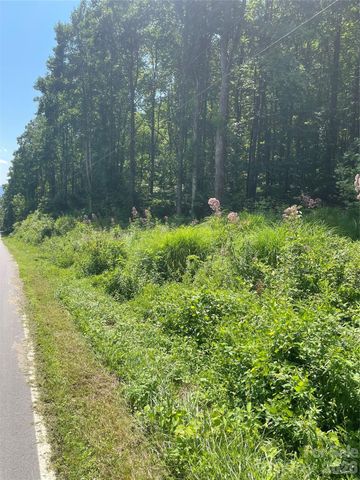 99999 Martins Creek Road, Barnardsville, NC 28709