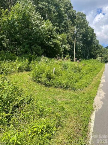 99999 Martins Creek Road, Barnardsville, NC 28709