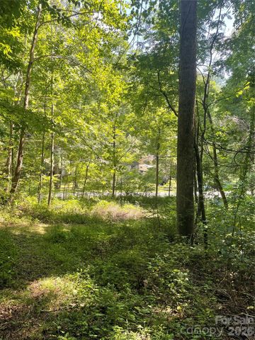 99999 Martins Creek Road, Barnardsville, NC 28709