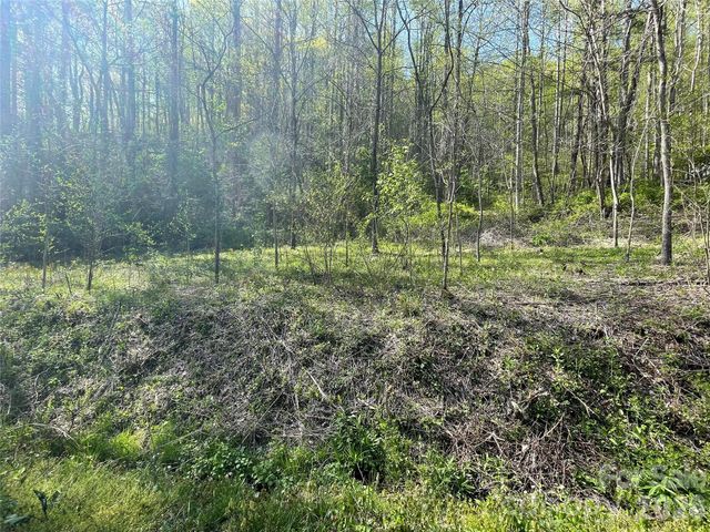 99999 Martins Creek Road, Barnardsville, NC 28709