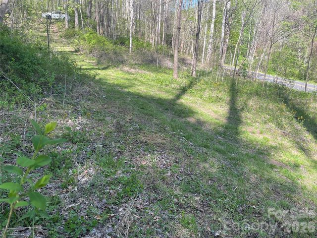 99999 Martins Creek Road, Barnardsville, NC 28709