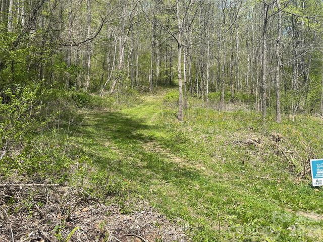 99999 Martins Creek Road, Barnardsville, NC 28709