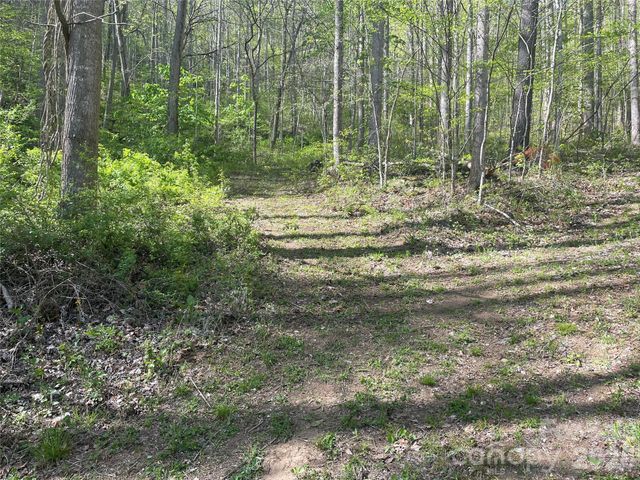 99999 Martins Creek Road, Barnardsville, NC 28709