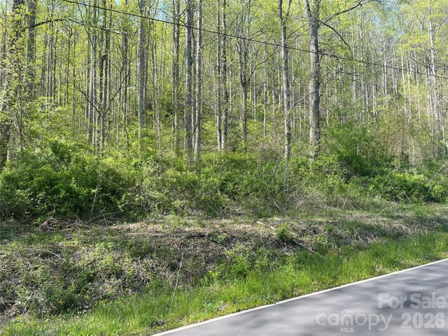 99999 Martins Creek Road, Barnardsville, NC 28709