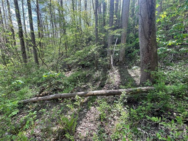 99999 Martins Creek Road, Barnardsville, NC 28709