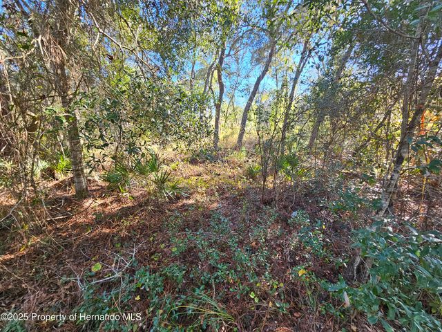 0 Berryhill Drive, Webster, FL 33597