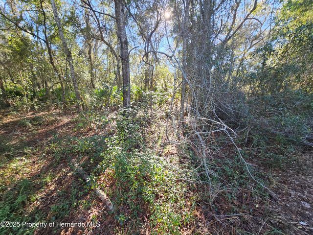 0 Berryhill Drive, Webster, FL 33597