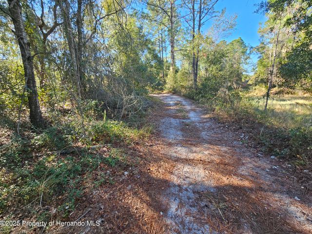 0 Berryhill Drive, Webster, FL 33597