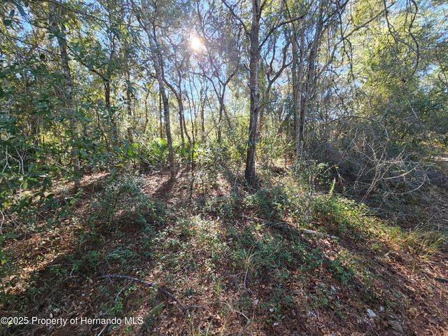 0 Berryhill Drive, Webster, FL 33597