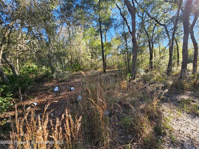 0 Berryhill Drive, Webster, FL 33597