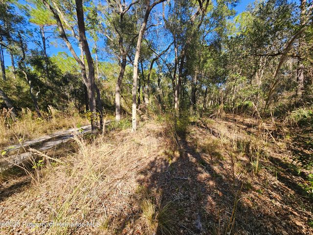 0 Berryhill Drive, Webster, FL 33597