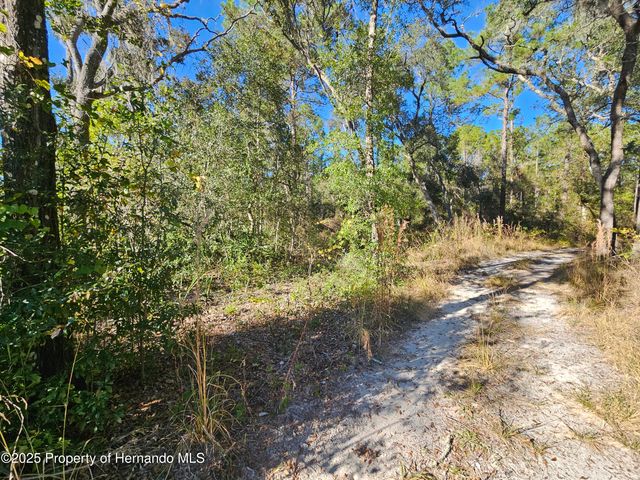 0 Berryhill Drive, Webster, FL 33597