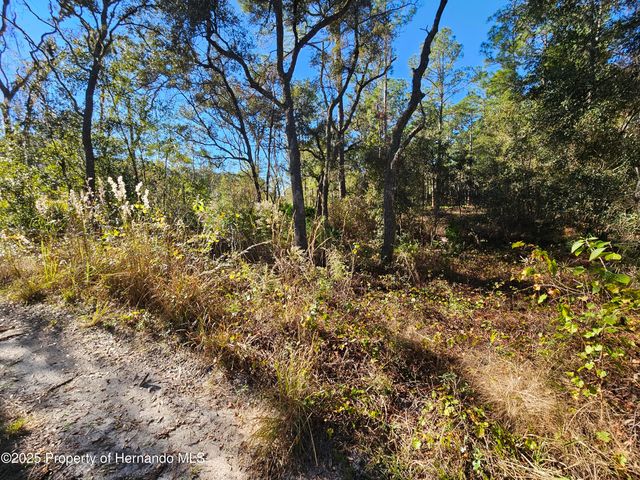 0 Berryhill Drive, Webster, FL 33597