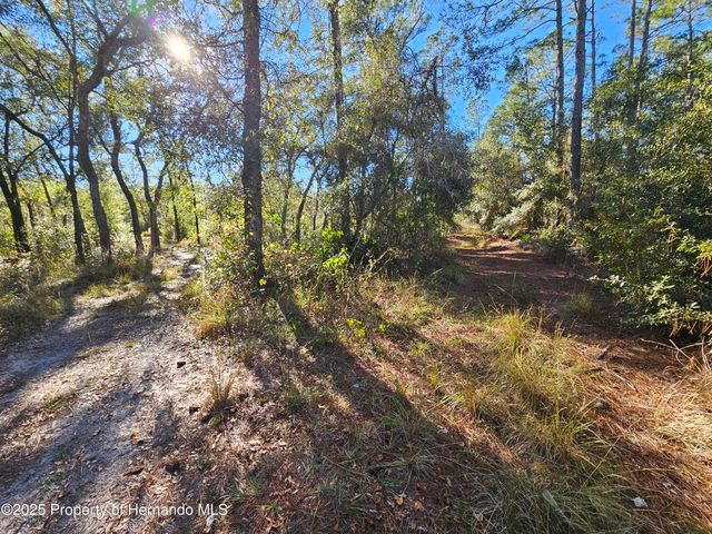 0 Berryhill Drive, Webster, FL 33597