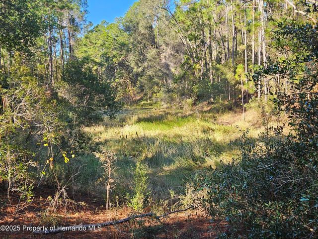 0 Berryhill Drive, Webster, FL 33597