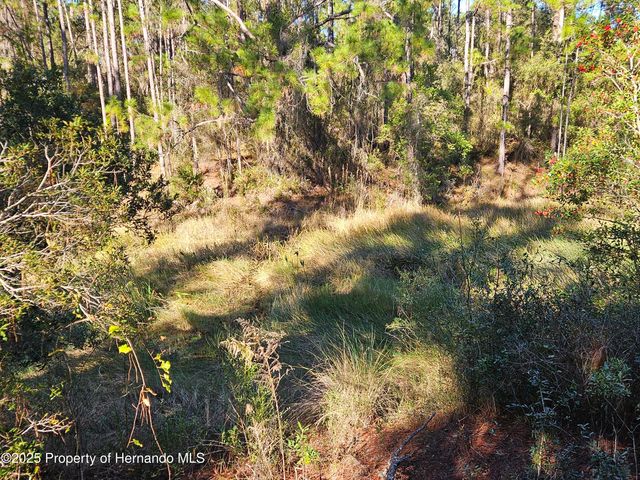 0 Berryhill Drive, Webster, FL 33597