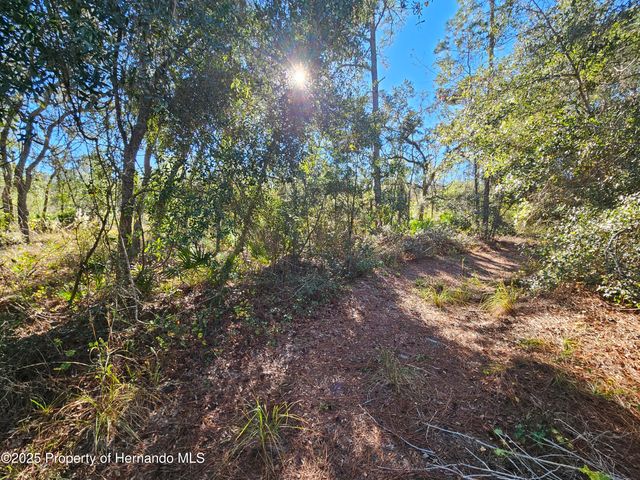 0 Berryhill Drive, Webster, FL 33597