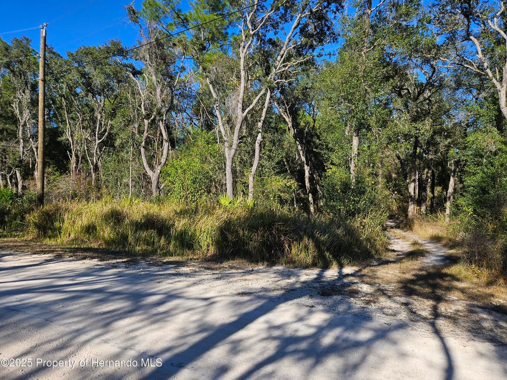 0 Berryhill Drive, Webster, FL 33597