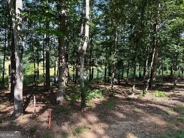 1117 Rome Beauty, Clarkesville, GA 30523