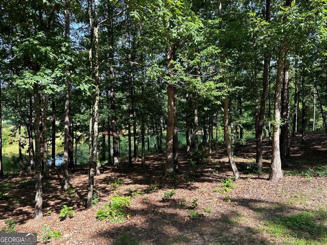1117 Rome Beauty, Clarkesville, GA 30523